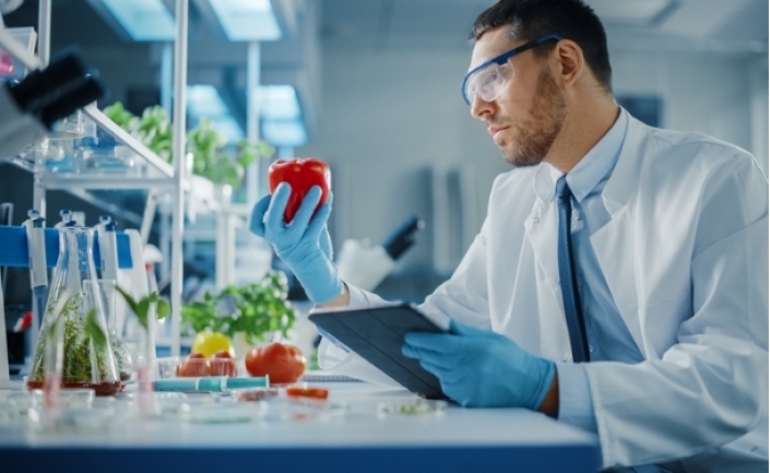 ISO 22000: Hệ thống quản lý an toàn thực phẩm