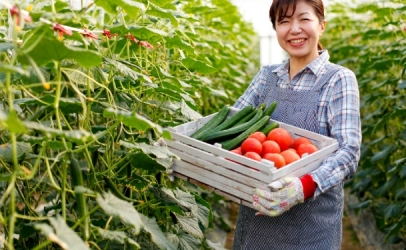 Tư vấn chuyên ngành sản phẩm nông nghiệp